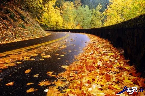 عکس جاده پاییزی زیبا
