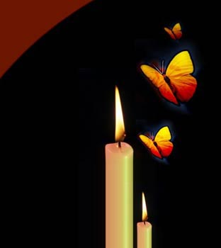 عکس شمع و پروانه