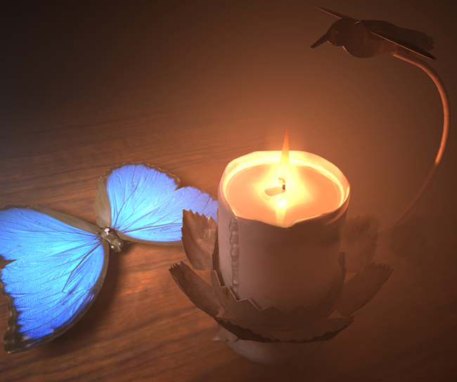 عکس شمع و پروانه