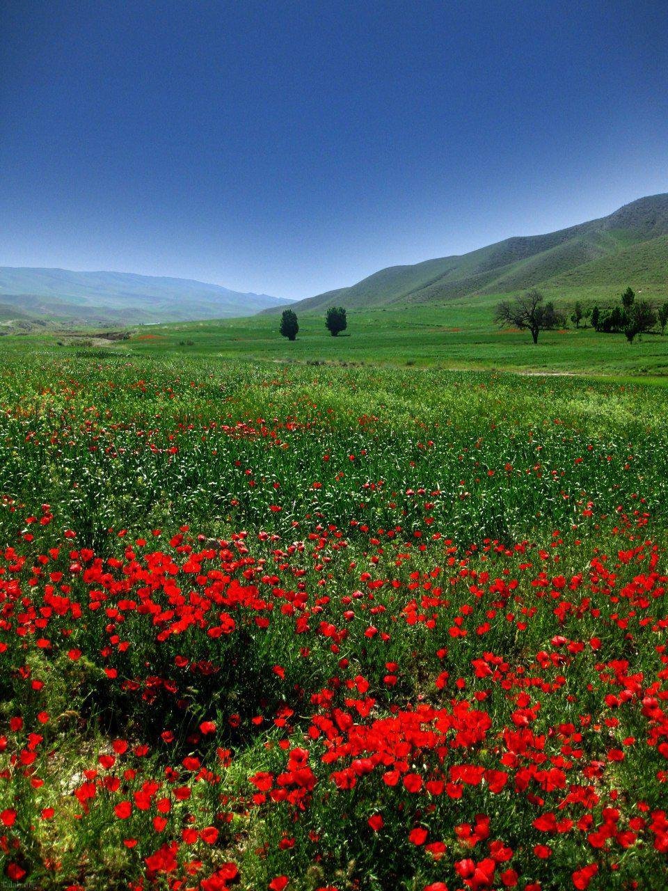 عکس از طبیعت زیبا ایران
