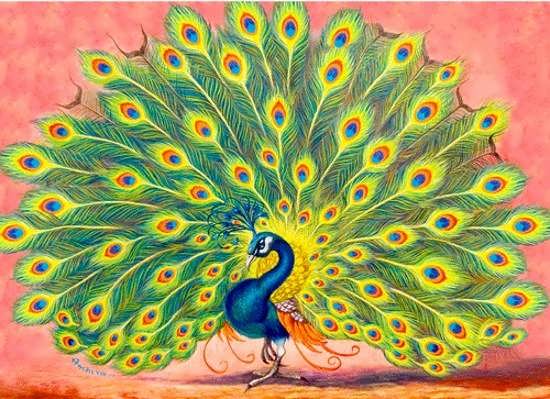 عکس نقاشی طاووس رنگ شده