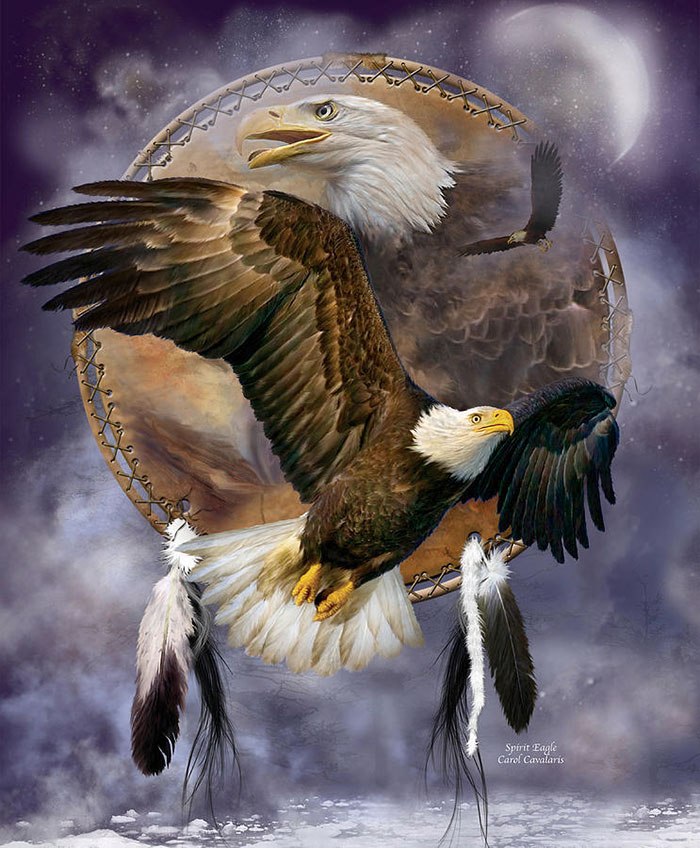 عکس نقاشی عقاب