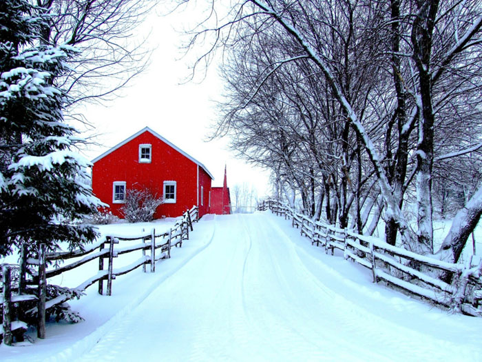 عکس های زیبای طبیعت در زمستان