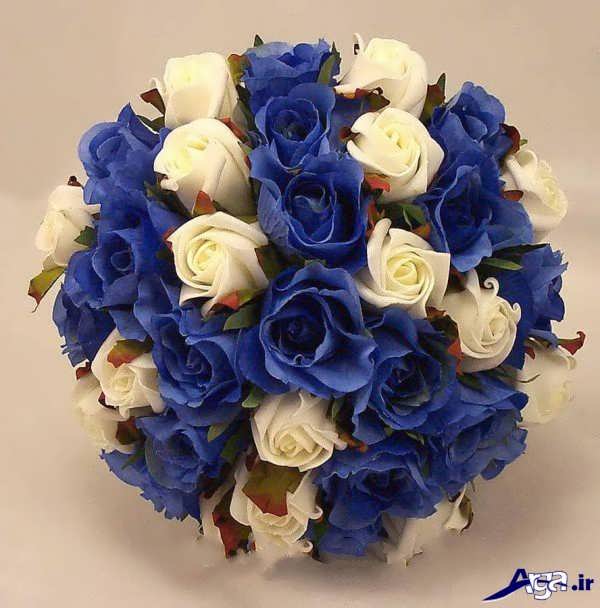 عکس گل رز آبی و سفید