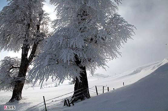تصاویر طبیعت زمستانی ایلام