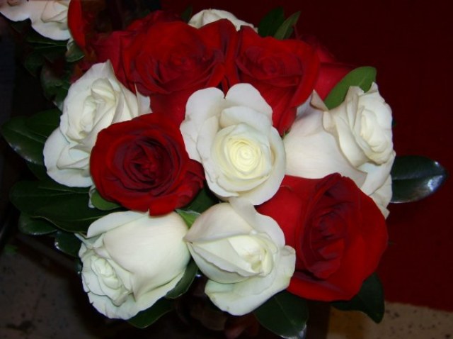 عکس گل رز قرمز سفید