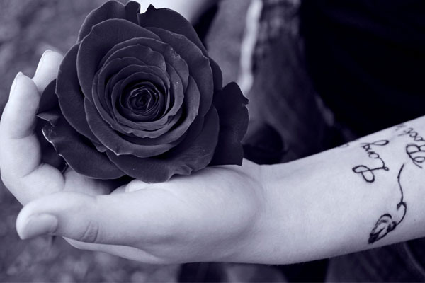 دانلود عکس گل رز سیاه سفید