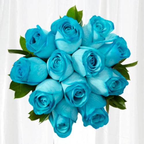 دانلود تصاویر گل رز آبی