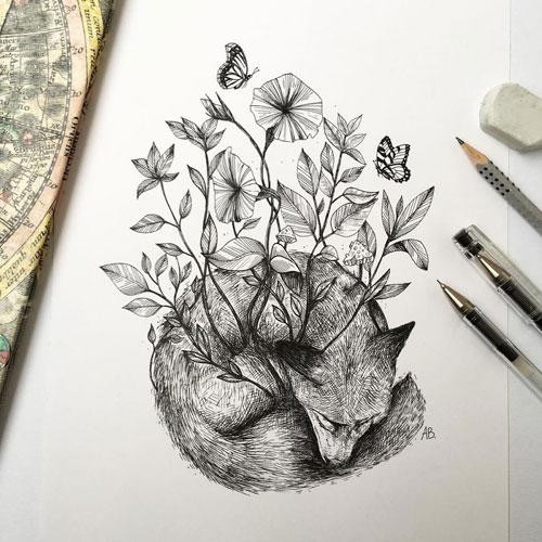 عکس طراحی سیاه قلم از طبیعت بی جان