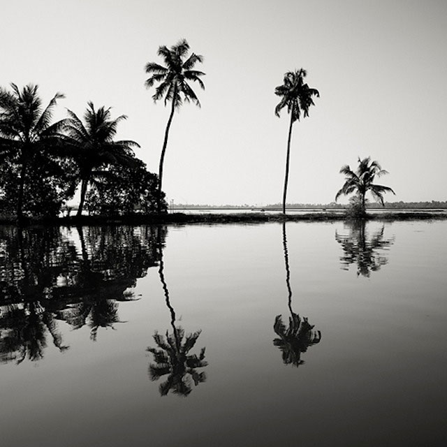 عکسهای سیاه سفید از طبیعت