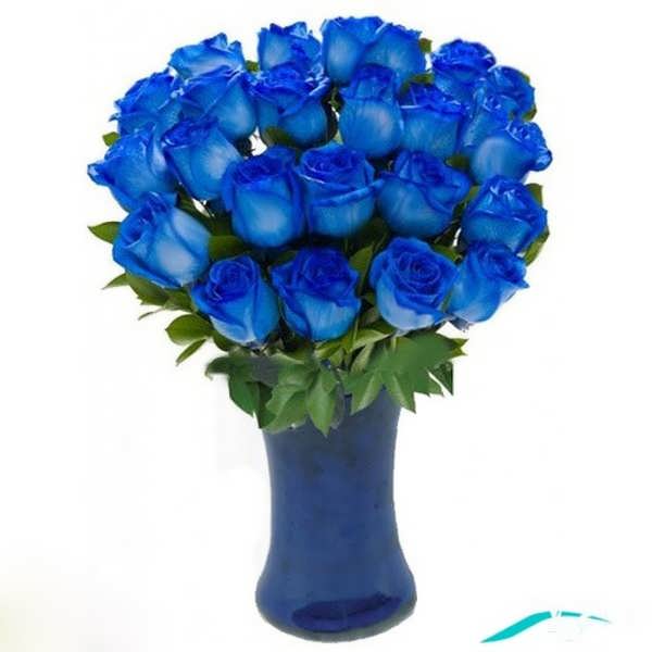 تصاویر زیبای گل رز آبی