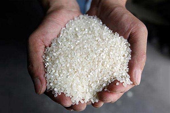 عکس قرص برنج خارجی
