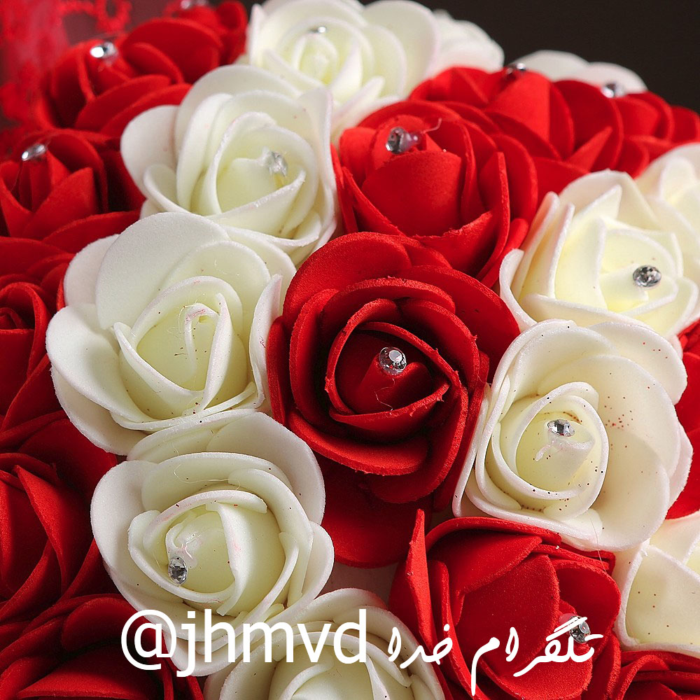عکس گلهای زیبا و عاشقانه