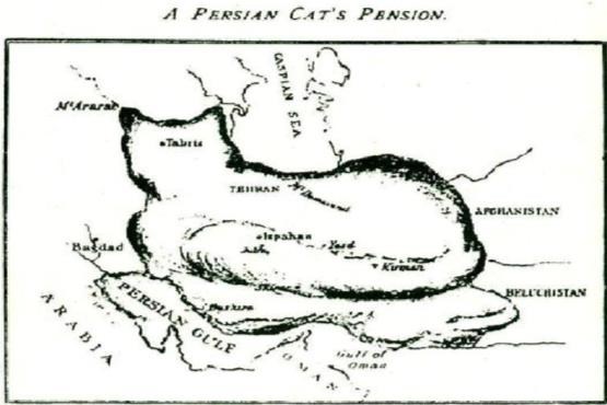 عکس گربه نقشه ایران