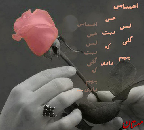 عکس گل عاشقانه همراه با متن
