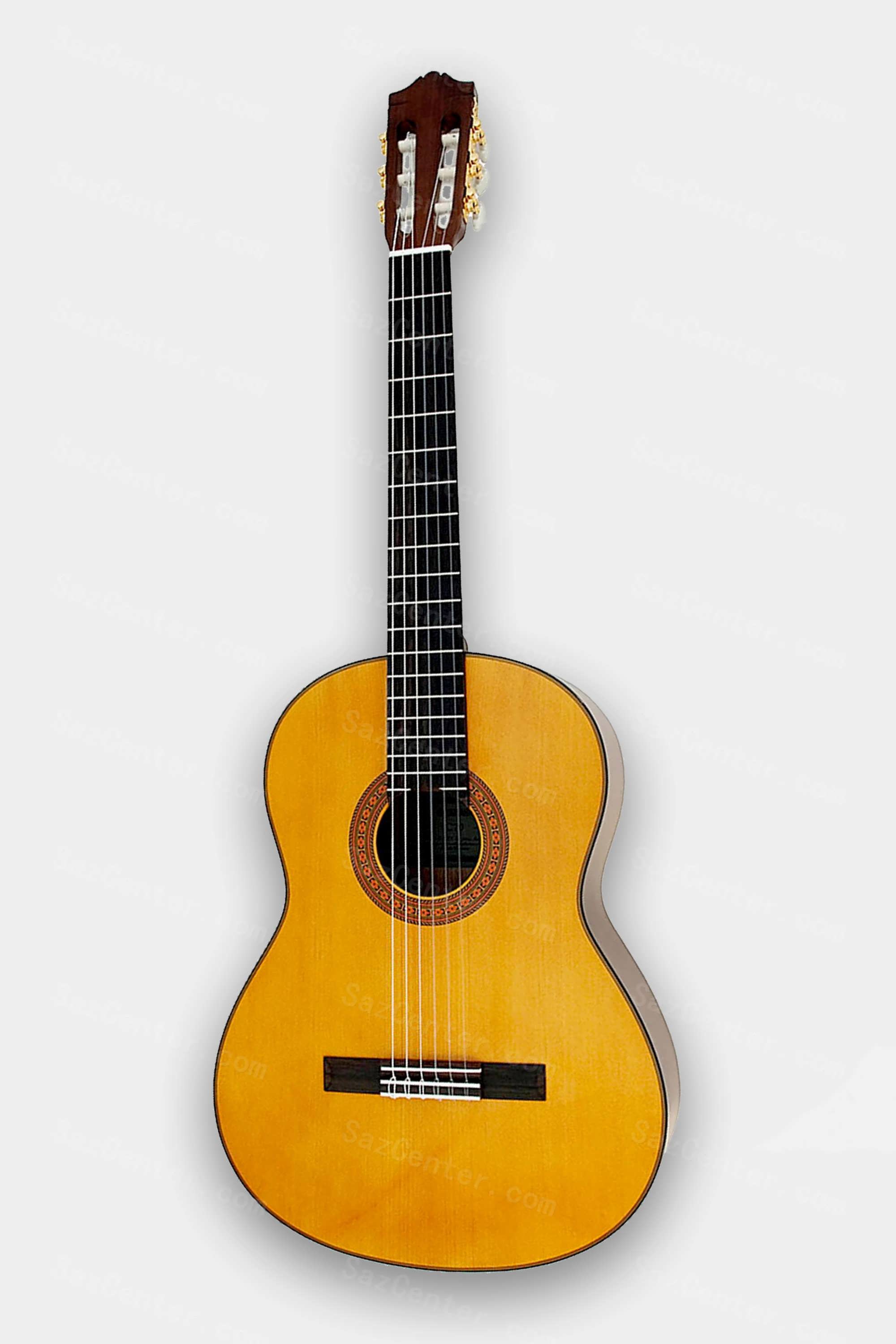 عکس گیتار کلاسیک با قیمت