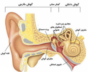 علت گوش درد
