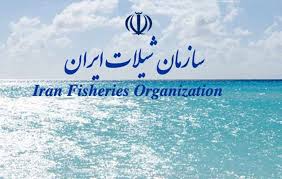 آدرس سازمان شیلات تهران
