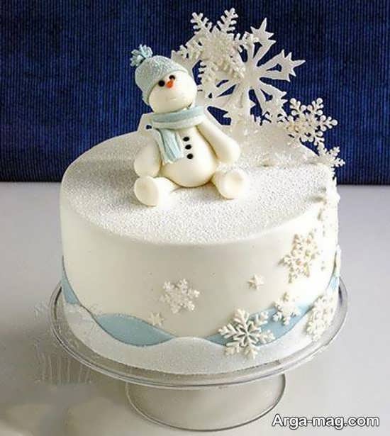 کیک تولد زمستانی مردانه
