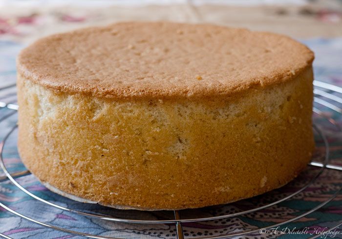 طرز پخت کیک ساده با توستر
