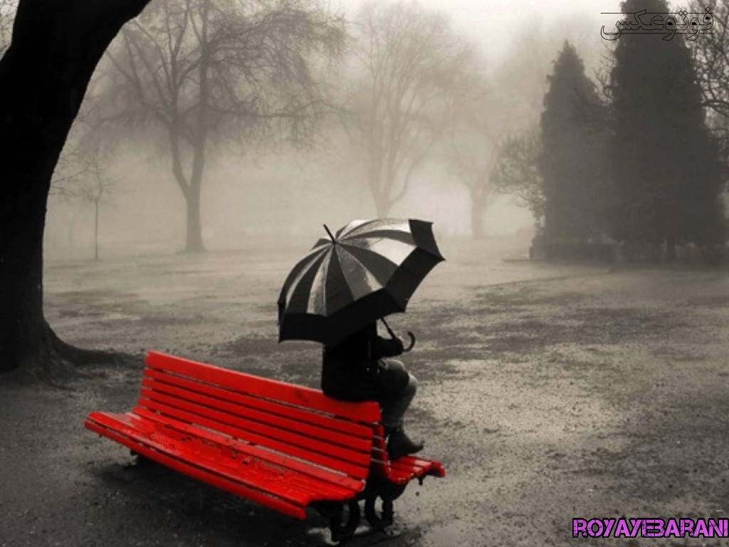 عکس دختر تنها در زیر باران
