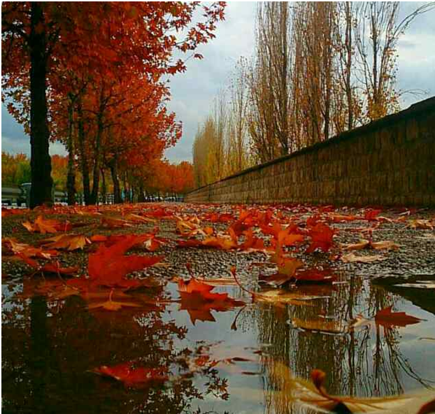 عکس بارون پاییزی شیراز
