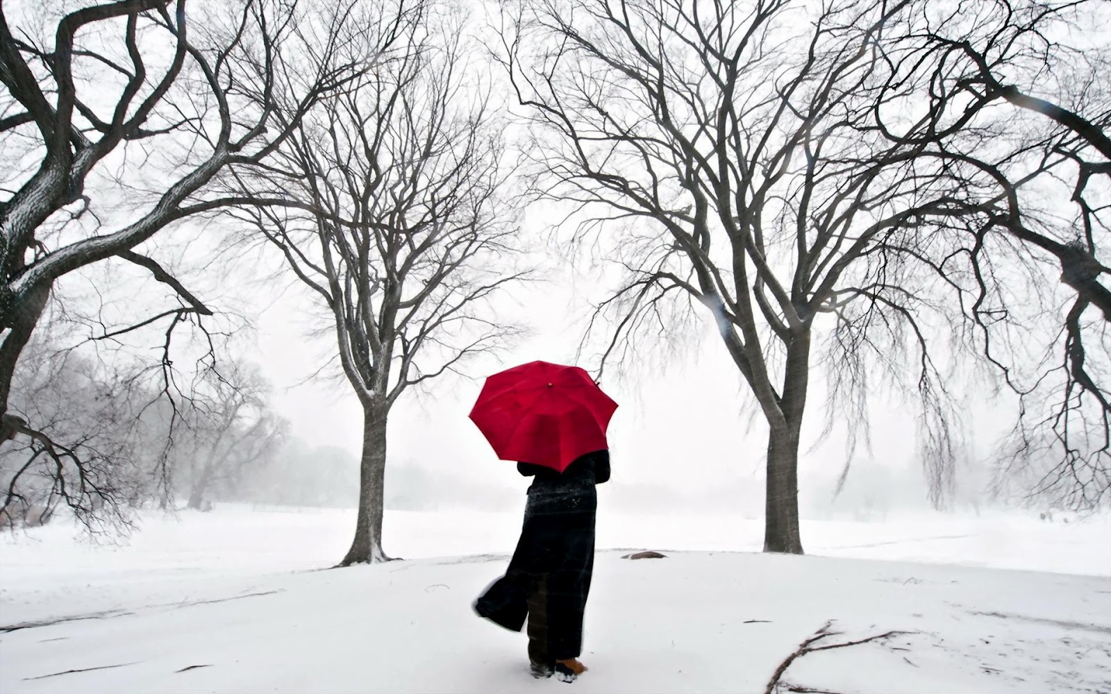عکس پروفایل دختر تنها در برف
