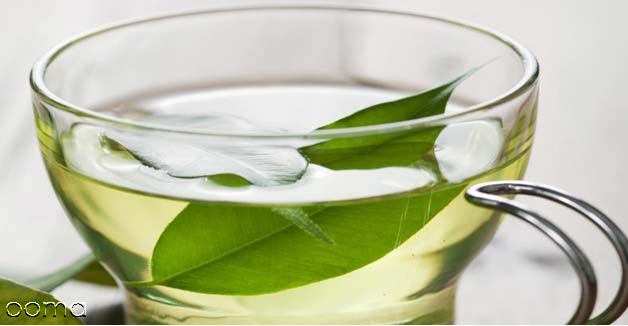مصرف چاي سبز در شيردهي
