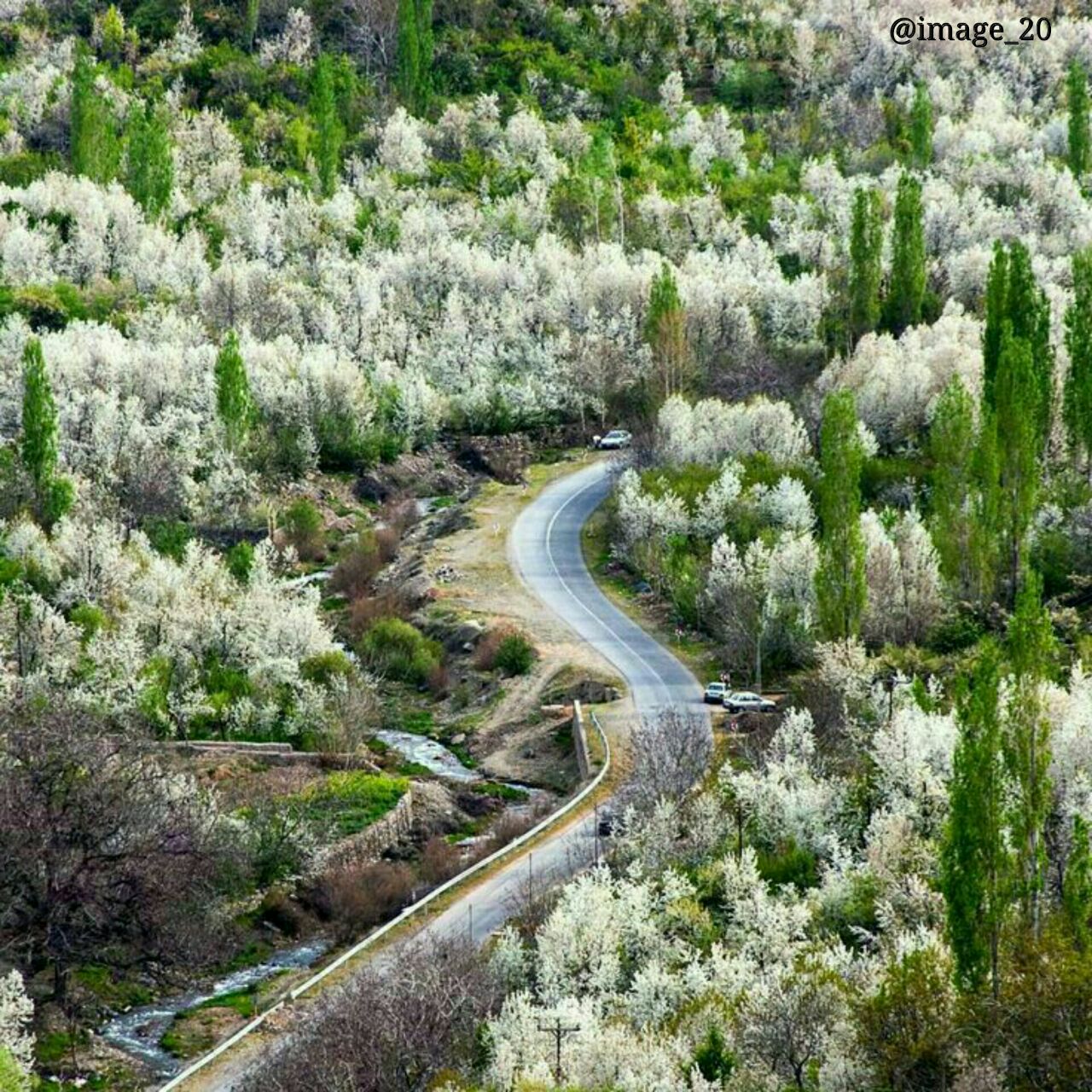 عکس از طبیعت بهاری ایران