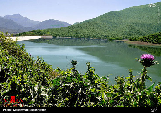 عکس هایی از طبیعت شمال ایران