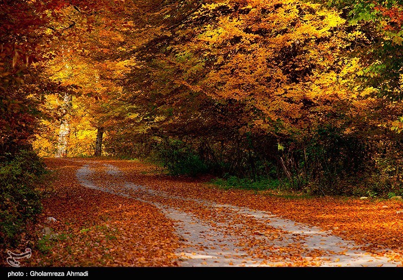تصاویر طبیعت پاییزی زیبا