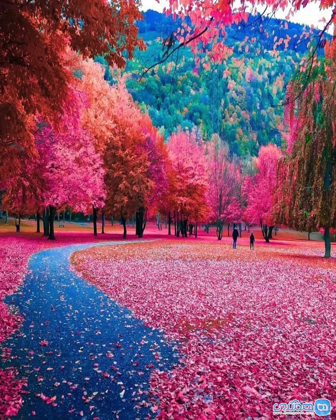 عکس طبیعت پاییزی زیبا