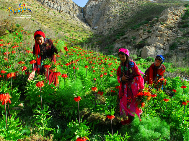 عکسهای طبیعت زیبای شمال ایران