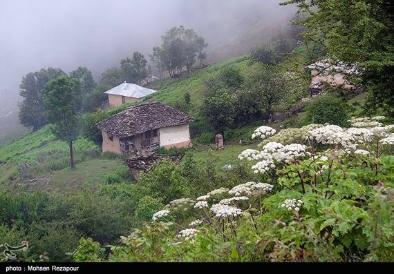 عکس از طبیعت بهاری مازندران