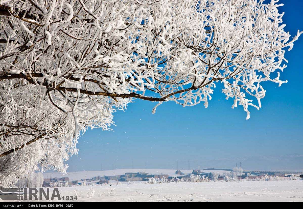 عکس از طبیعت زمستان ایران
