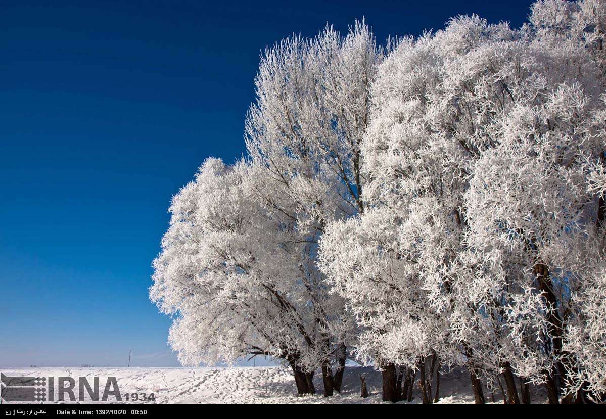 عکس از طبیعت زمستانی ایران