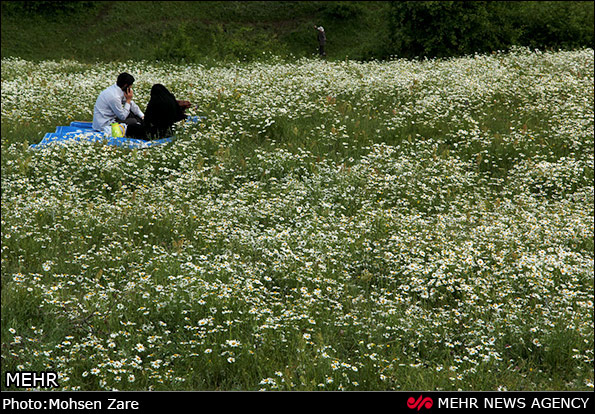 تصاویر طبیعت بهاری ایران