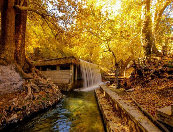 عکس طبیعت پاییز ایرانی