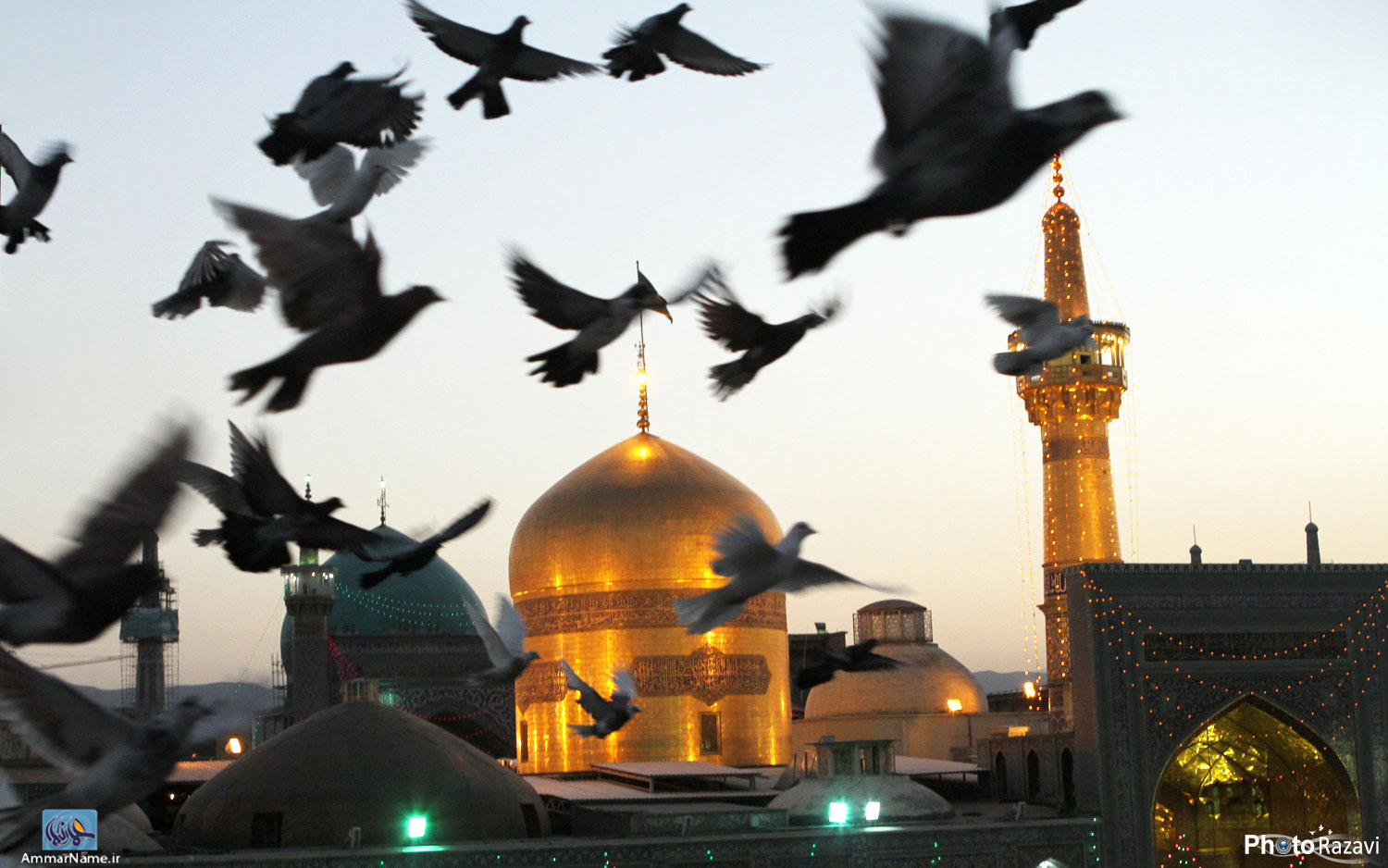 عکسهای زیبا از حرم امام رضا علیه السلام