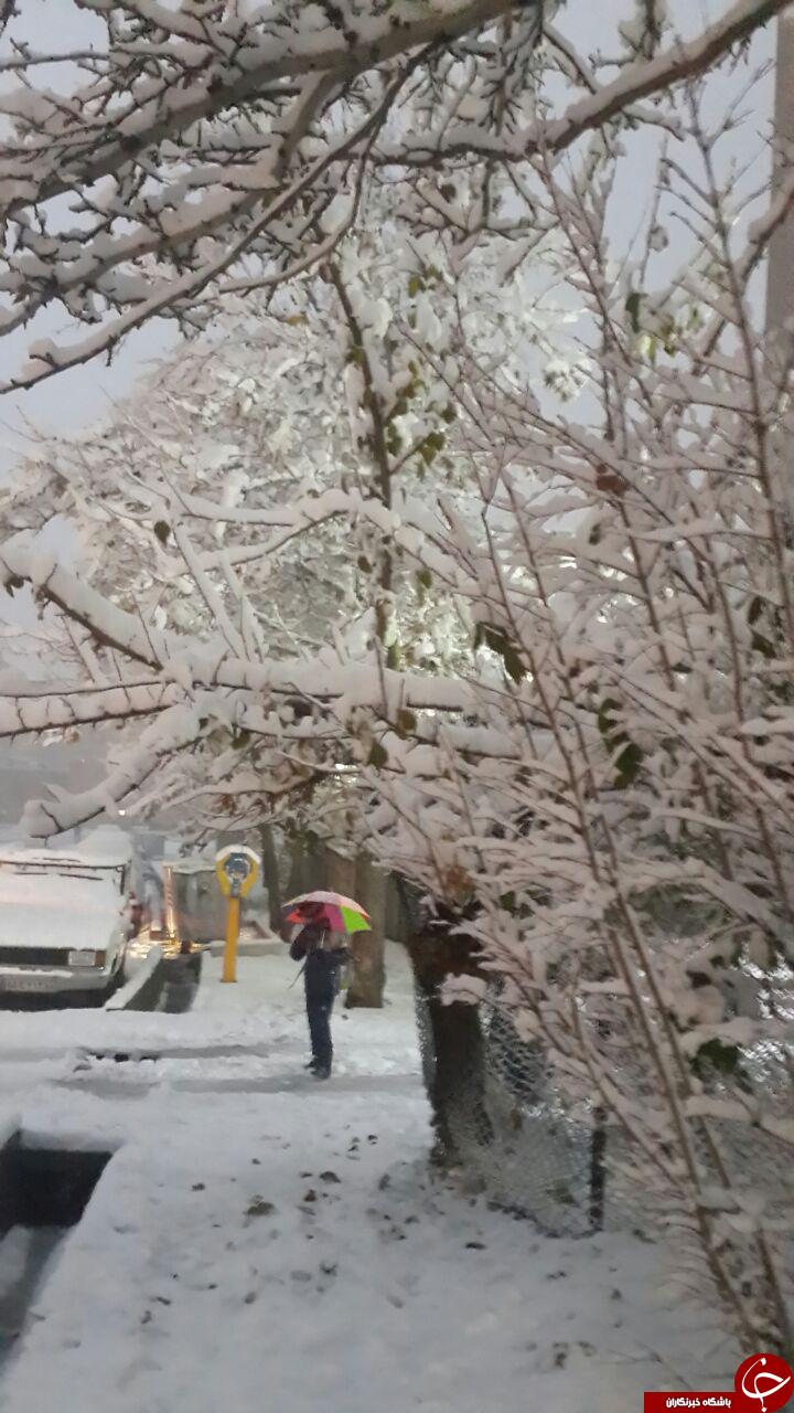 تصاویری از برف امروز تهران

