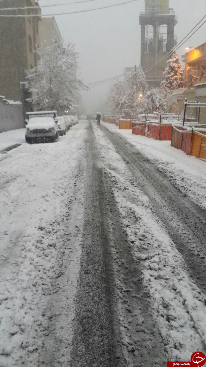 عکسهایی از برف امروز تهران
