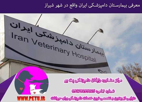 ادرس دقیق بیمارستان ایران شیراز