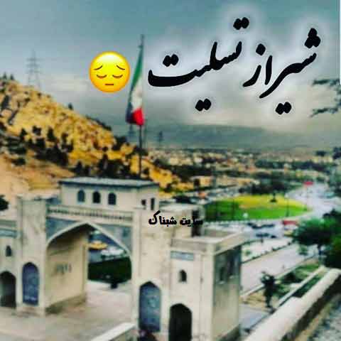 عکس شیراز پروفایل
