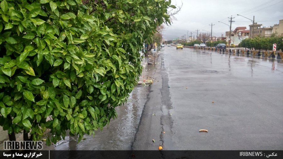 عکس روز بارانی شیراز