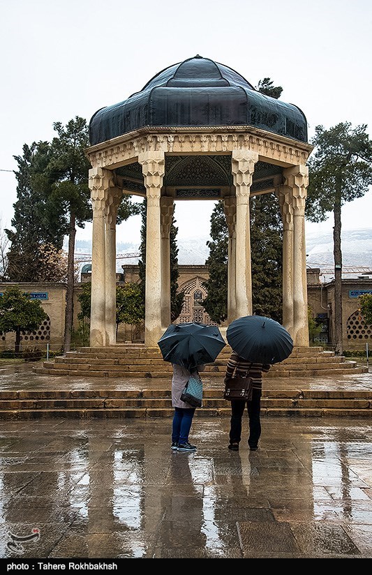 عکس بارش باران در شیراز