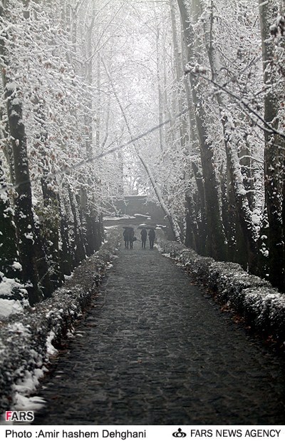 عکس هایی از بارش برف در تهران