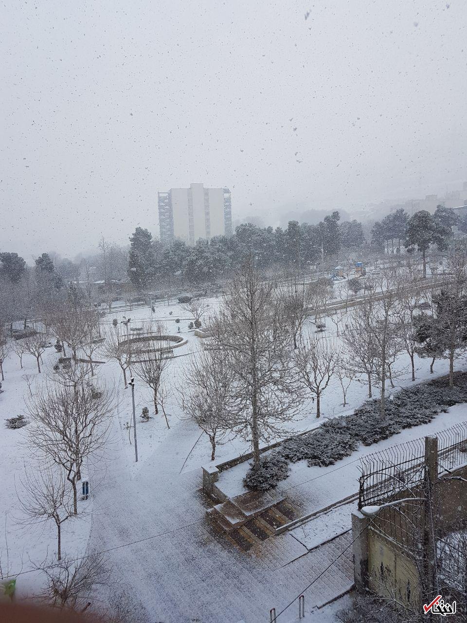 تصاویر بارش برف امروز تهران