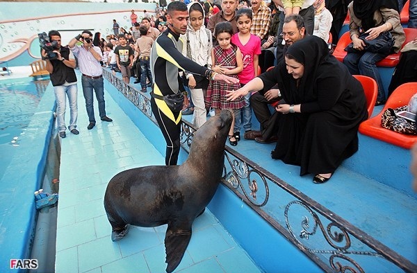 عکس پارک دلفین های تهران برج میلاد
