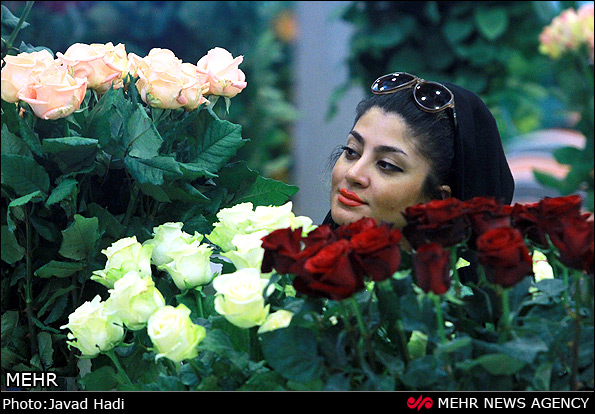 عکس زن زیبا در تهران