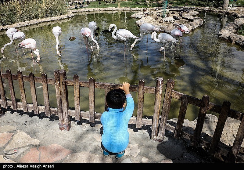 عکس باغ پرنده گان اصفهان